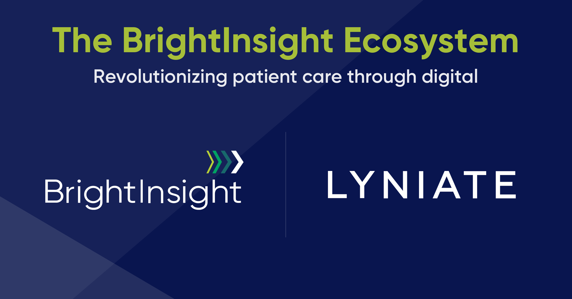 Brightinsight ecosystem example dark