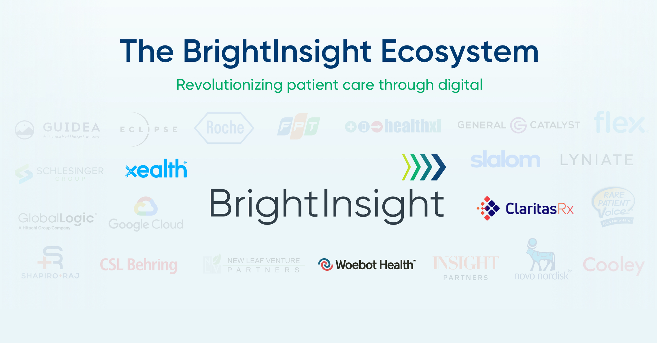 Brightinsight ecosystem new additions blog